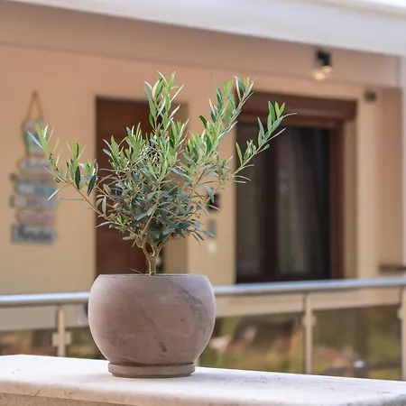 Apartment νεφέλη: ολόκληρο σπίτι για αξέχαστες διακοπές στη σιβηρή *