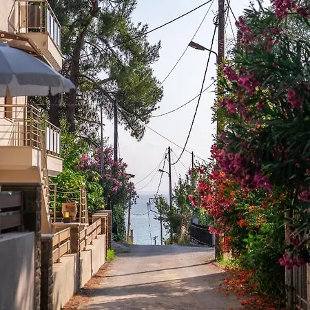 νεφέλη: ολόκληρο σπίτι για αξέχαστες διακοπές στη σιβηρή Apartment *